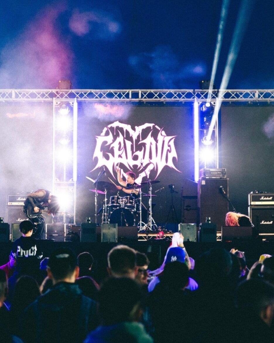 The band Celavi on stage