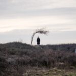 Doctor Who S1,25-05-2024,73 Yards,4 - 73 Yards,*NOT FOR PUBLICATION UNTIL 00:01HRS, SUNDAY 19TH MAY, 2024*,BBC Studios,James Pardon