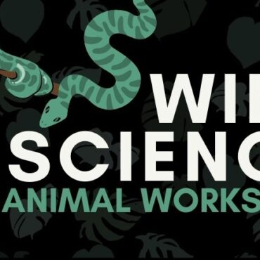 wild-science-animal-workshop