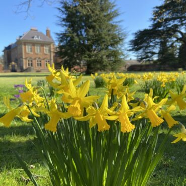 february-half-term-at-tredegar-house